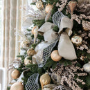 Fita De Champagne - 10 Metros